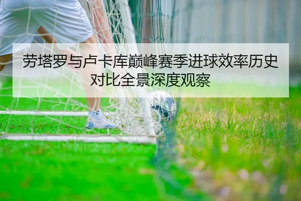 劳塔罗与卢卡库巅峰赛季进球效率历史对比全景深度观察