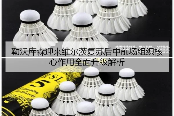 勒沃库森迎来维尔茨复苏后中前场组织核心作用全面升级解析