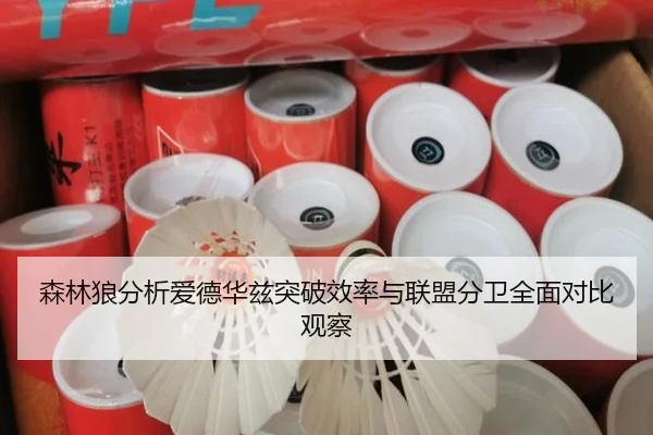 森林狼分析爱德华兹突破效率与联盟分卫全面对比观察
